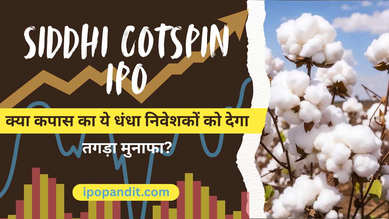 Siddhi Cotspin IPO क्या कपास का ये धंधा निवेशकों को देगा तगड़ा मुनाफा?